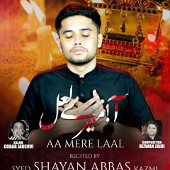 Nohay 2024 | AA MERE LAAL | आ मेरे लाल | Shayan Abbas | Muharram 2024 /1446