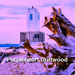 Purple Heart Driftwood