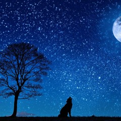 Starry Night (별헤는 밤에) - Marchen