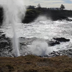 Blowhole & Ocean Ambience (Preview)