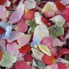 Narayan's dream by Bhaktika