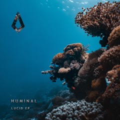 Lucid (Edit)