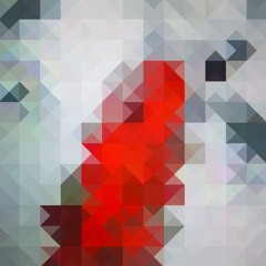 Wrong Timeline [Free Download]