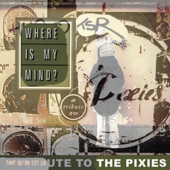 Hugo TSR oui MAIS sur Where Is My Mind? (Pixies)