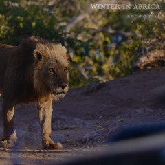 Winter in Africa