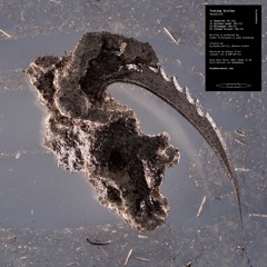 Tracing Xircles - Xenolith [Artaphine Premiere]