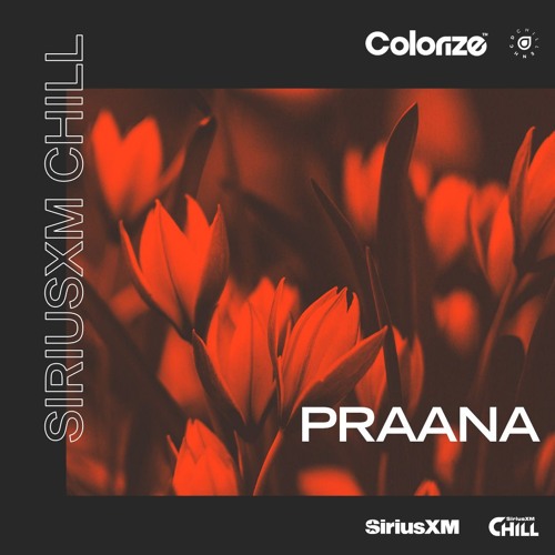 Colorize SiriusXM Chill Takeover: PRAANA