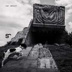 Wasta - Depression [snippet]