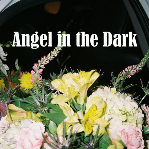 Angel in the Dark