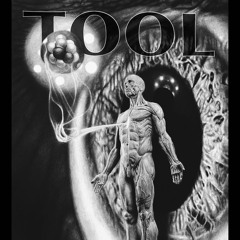 TOOL  Fear Inoculum