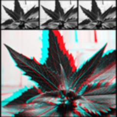 Dino - Wolf Tickets Freestyle