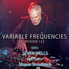 Variable Frequencies (Mixes by Seven Wells & Shaun Strudwick) - VF123
