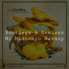 [RMX/VA] "Midtempoid" Stuff Bootlegs | Q7 (452)