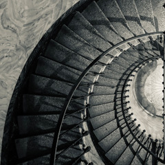 Pyrexia w/Ani - 27/03/2025