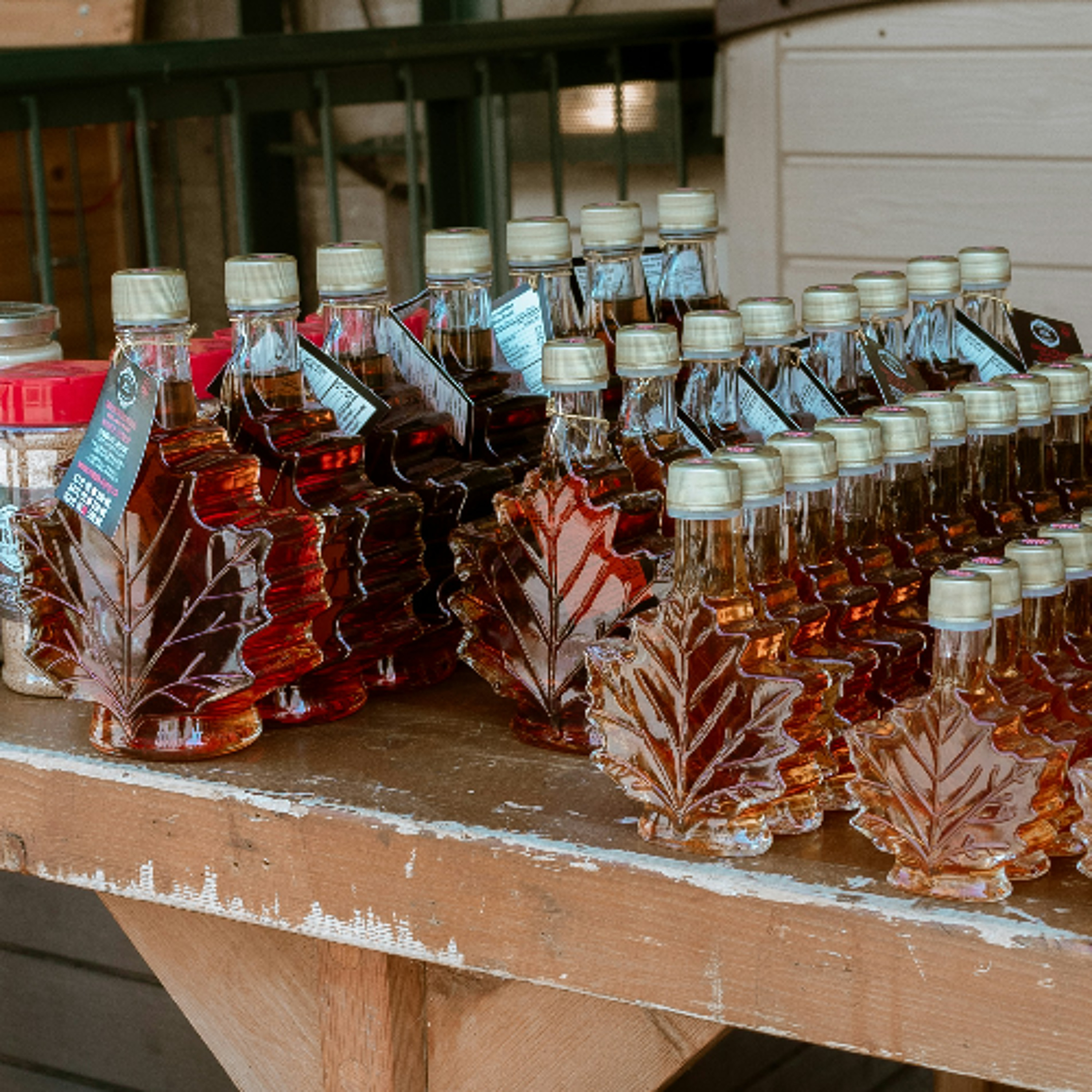 Aldo Leopold Nature Center Hosts Annual Maple Syrup Fest