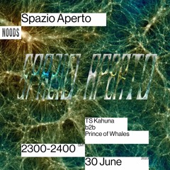 Spazio Aperto w/  TS Kahuna B2b Prince Of Whales - Noods Radio - 30.06.23