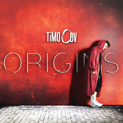Timo Odv
