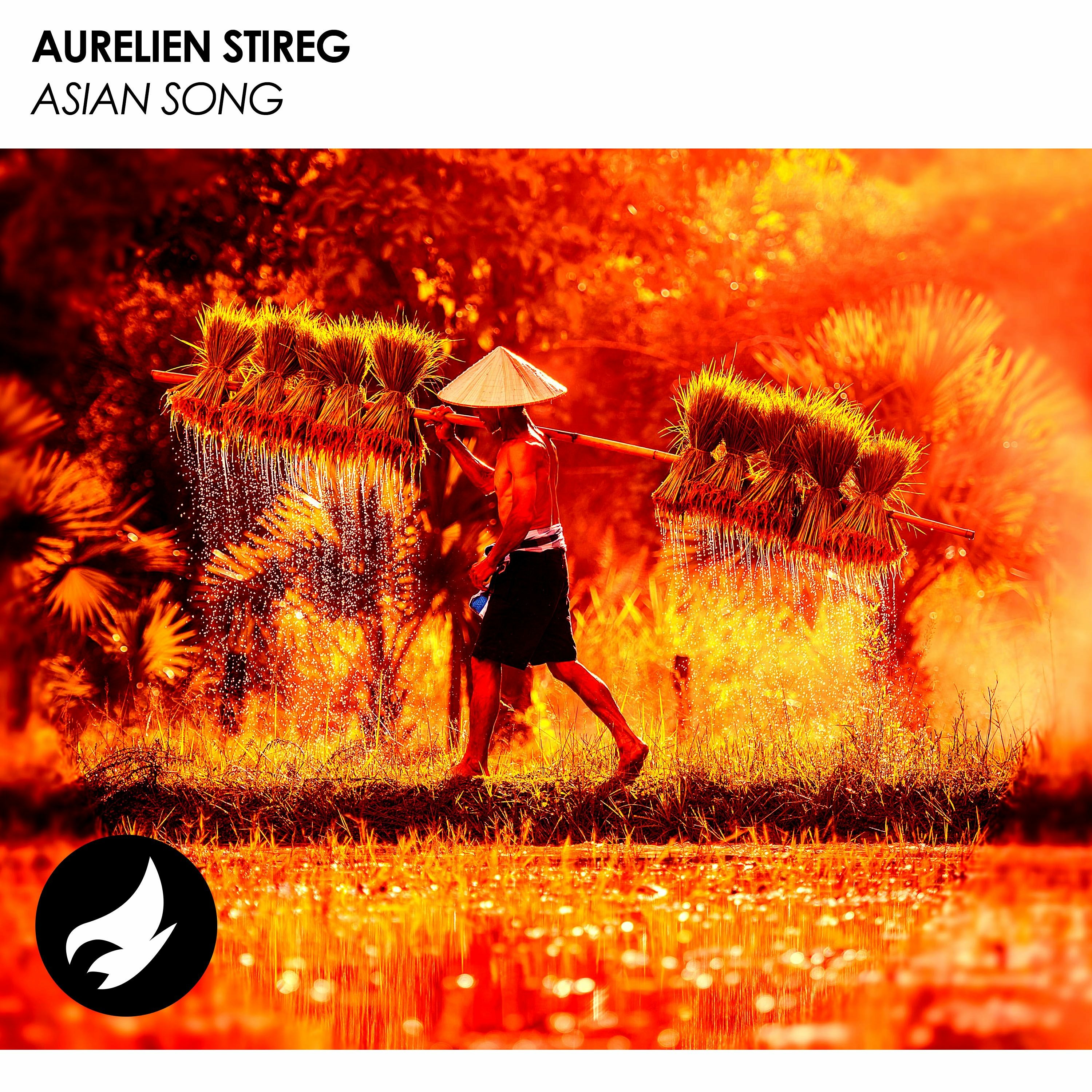 Aurelien Stireg