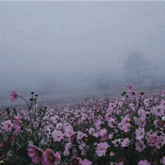 gardendate<3