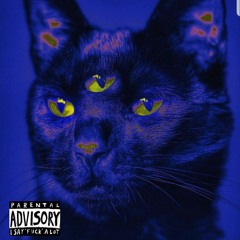 Wild Syndrome