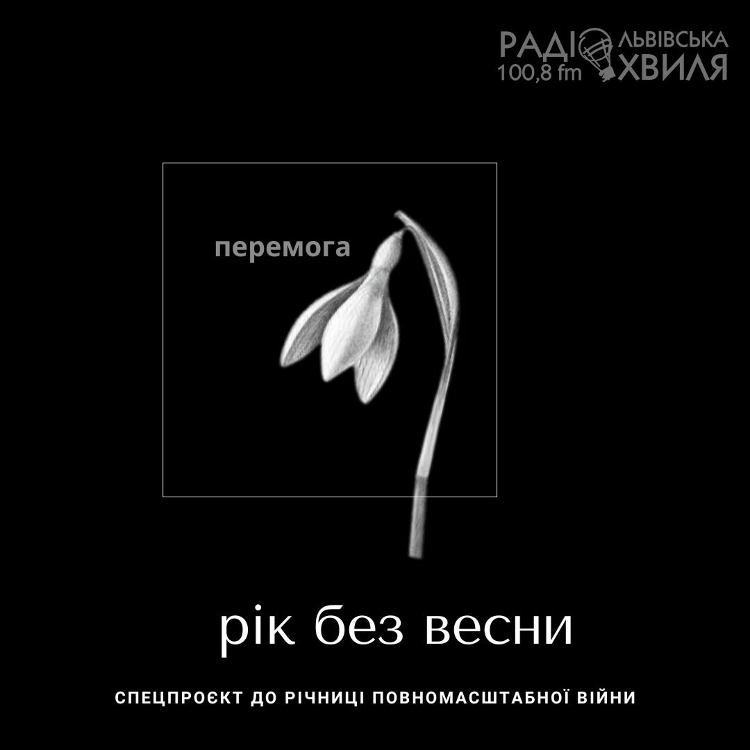 Рік без весни // ПЕРЕМОГА // спецпроєкт до річниці повномасштабного вторгнення episode artwork