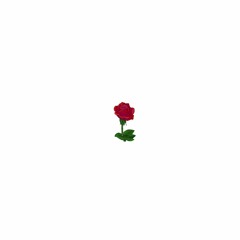 Roses (KLM Mashup)