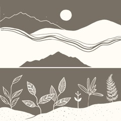 Let me Down (acoustic)