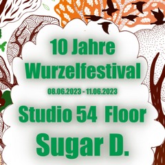 10 Jahre Wurzelfestival - Studio 54 Floor - Sugar D.
