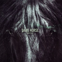 Dark Horse (Ancestyr Flip)