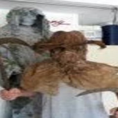 idontneedu (prod me)