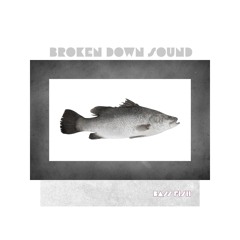 Bass Fish