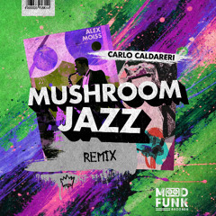 Alex Moiss - MUSHROOM JAZZ (Carlo Caldareri Remix) // MFR446