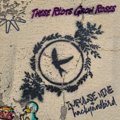 impulse nine loves you and this playlist is how that love is expressed