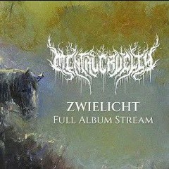 Mental Cruelty - Zwielicht (2023)\05. Nordlys.mp3