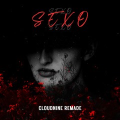 SEXO [CLOUDNINE 2K23 REMADE]