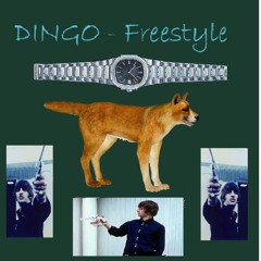DINGO - Freestyle