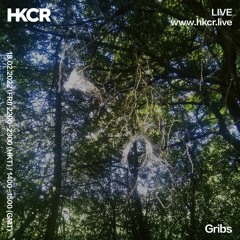 Gribs - 18/02/2022