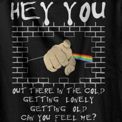 Pink Floyd - Hey You (DJ RMG Remix)