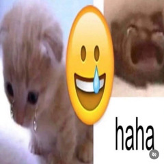 minimal to maximal @ fête de la musique