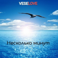 Veselove VS Deep Sound Effect X Leusin - Несколько Минут (FREE DOWNLOAD)