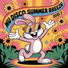Nu Disco Summer Breeze 2025 3