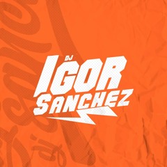 MEDLEY RELÍQUIA DA PUTARIA - MC MAGRINHO - DJ IGOR SANCHEZ