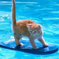 You dont call nomore..