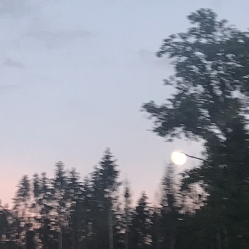 FULL MOON SAMPLES
