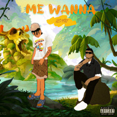 Me wanna remix -  rvii x blokkboidee prod rvii