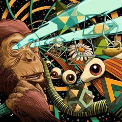 Psychedelic Adventures - UNR