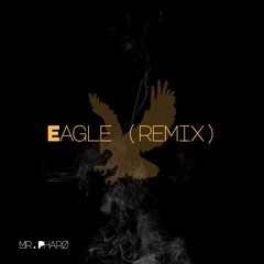 EAGLE (MR. PHARØ Remix)
