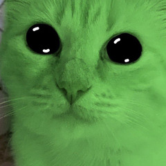 Crystal 2006 ally admire or something like that