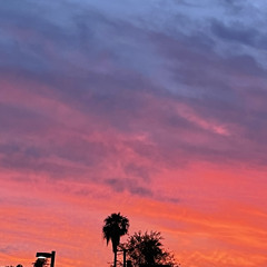 Do it (ft. BlackNova & Sin Ojos)