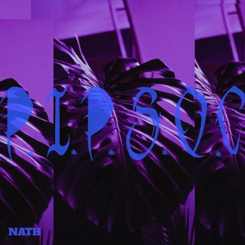P.I.P.S.O.C - Nath